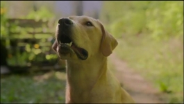 Blue Skies - Season 01 Episode 06